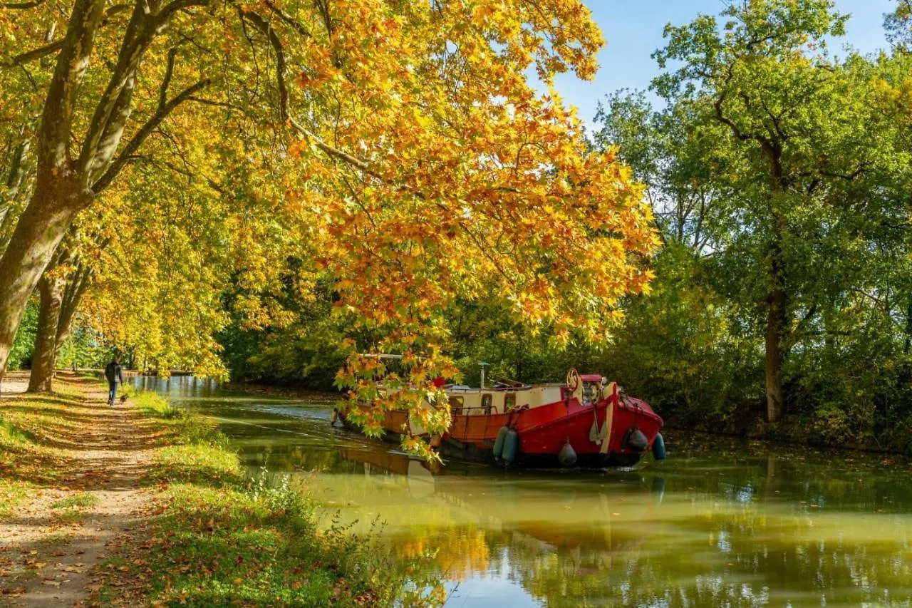 Le Dallas - 1 Chambre, 1 Canape-Lit, 1Er Etage, Parking, 10Min Canal Du Midi Castelsarrasin Lejlighed